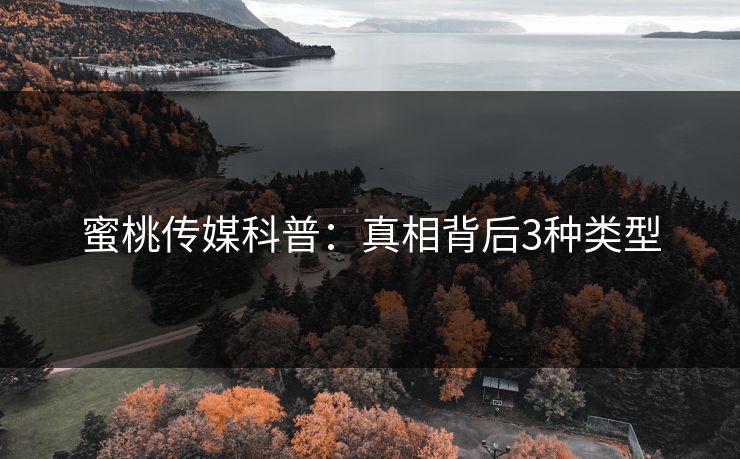 蜜桃传媒科普：真相背后3种类型