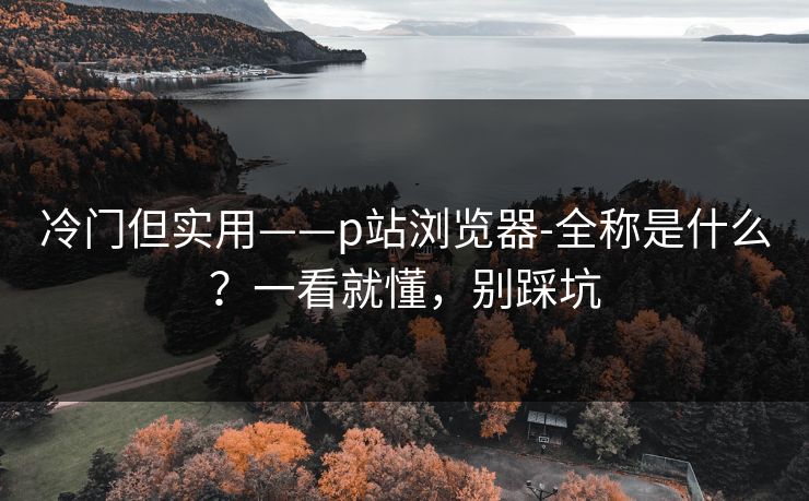 冷门但实用——p站浏览器-全称是什么？一看就懂，别踩坑